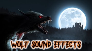 Scary Wolf Sound Effects | Spooky Sound Effects | Halloween Sounds