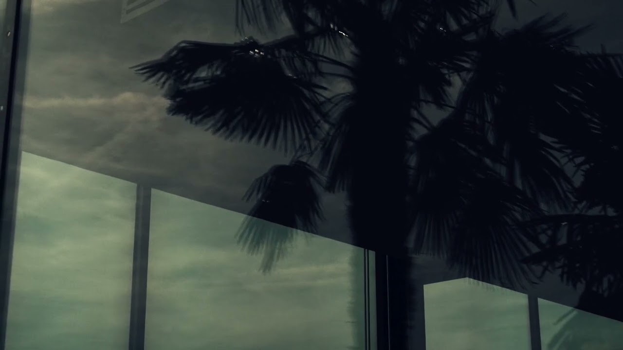 +SEGMENTO ProductClip Pavia