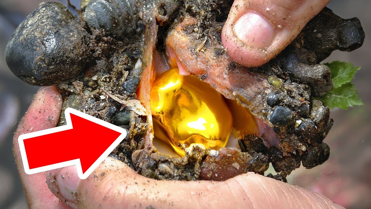 When Lucky People Find The Rarest Things