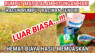 Diy Weed Killer Guaranteed To Kill Instantly