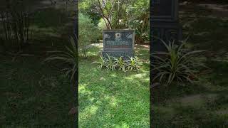 Sun green resort | travel with L&D