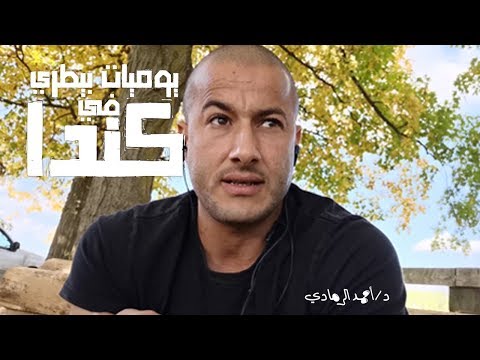 فيديو: حشو الفاتورة في الممارسة البيطرية