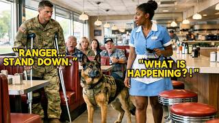 “Can I Sit Here ” Disabled Navy SEAL Asked a Black Waitress — Then His K9 Froze the Entire Diner