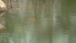 Deputies investigate human remains found in Reidsville