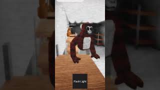 ape experience update pt.2