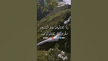 ماهر المعيقلي - سورة البقرة ( برواية حفص عن عاصم ) الأية 190 - 192