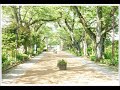別れの情景II~もう歌は作れない  / オフコース  cover 弾き語り