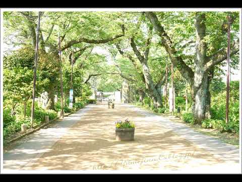 別れの情景Ⅱ～もう歌は作れない  ／ オフコース　　cover　弾き語り