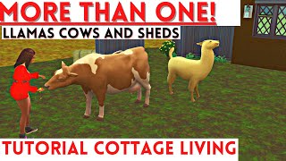 THE SIMS 4  MORE THAN ONE! (NOMODS)