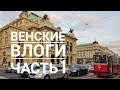 Венские зимние влоги но не рождество - часть 1