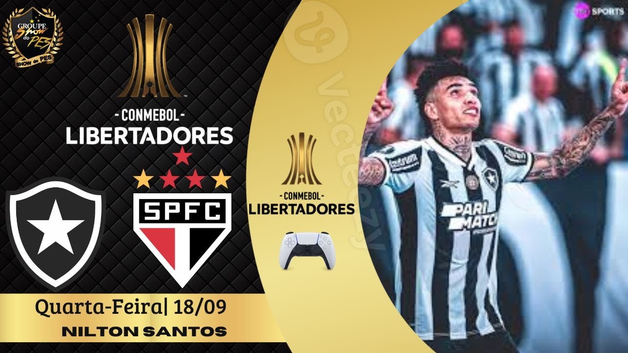LIBERTADORES 2024 BOTAFOGO X SÃO PAULO QUARTAS DE FINAL DIEGO SHOW ...