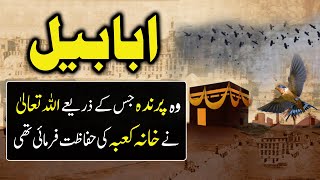 Story Of Ababil Birds When Ababil Birds Defend Khana Kaaba Daily Jameel