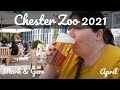 A Trip to Chester Zoo - April 2021 - We're Back! (Again!)