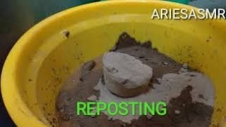 REPOSTING Soft Red Dirt#126#aries_asmr#asmrcommunity#reddirt screenshot 5