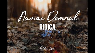 Adelina Motoc - Numai Domnul ridica (Cover Amira din Barbulesti)