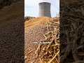 Biomass Fuel Pellets Market 🚀 $21.9B Growth | Future of Clean Energy Explained #shortsvideo