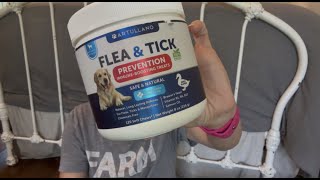 Will My Dog Even Like These?!
