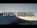 Душа океана