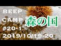 [BEEP CAMP#20-1]大山町 森の国でソロキャンプ[雨のお散歩]