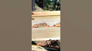 Beekeeping - Super Frame Wax Strips Comb