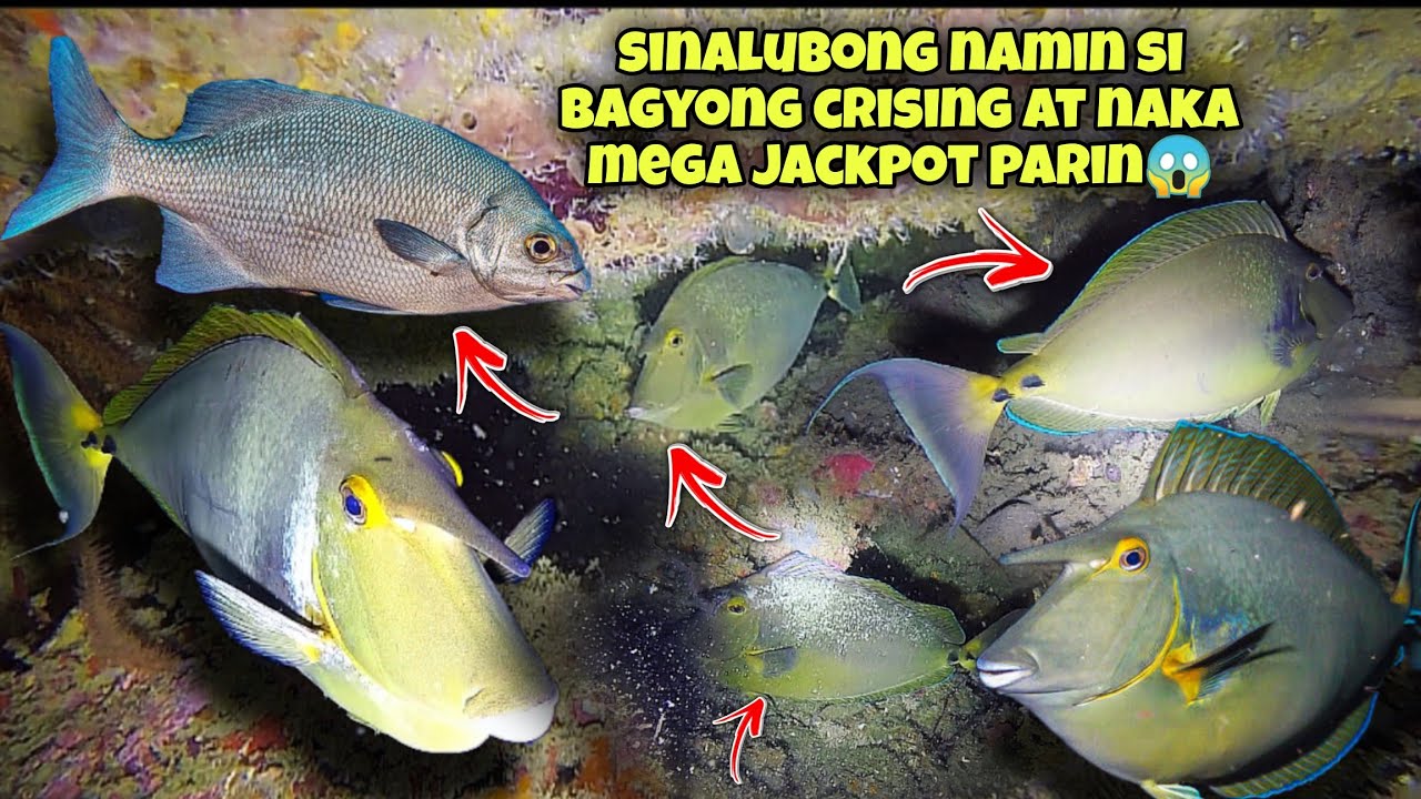 ep.378 SINALUBONG NAMIN SI BAGYONG CRISING AT NAKA MEGA JACKPOT PARIN #fishing #seafood #fish #viral