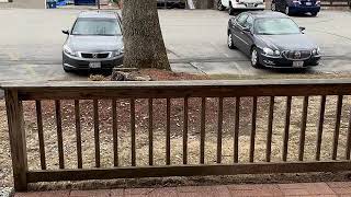 30 Thayer Pond Dr Unit 2, Oxford MA 01537 - Condo - Real Estate - For Sale -
