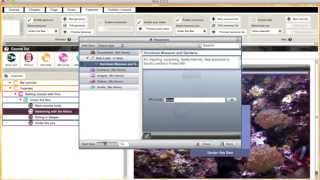 Incorporating features into an eLearning course: Getting started with the Vivo authoring tool screenshot 5