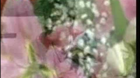 7 sắc cầu vồng