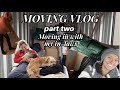 MOVING VLOG into my in-laws + room tour / moving vlog part 2