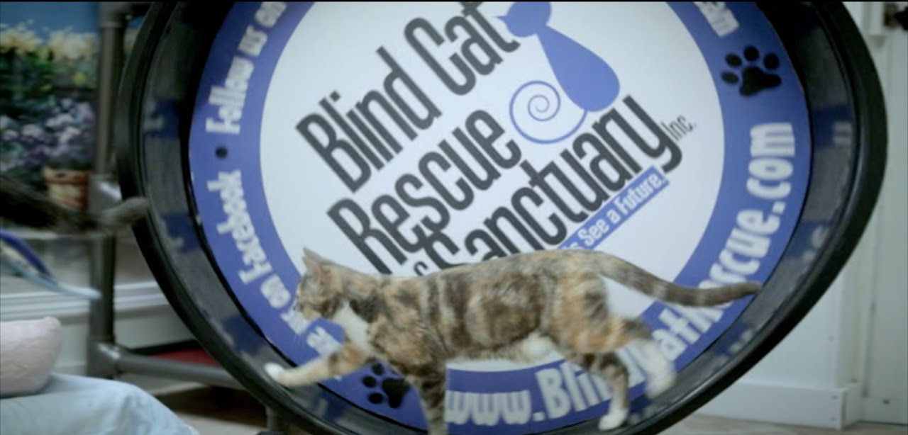 2015 Eagle Rare Life Award- Alana Miller