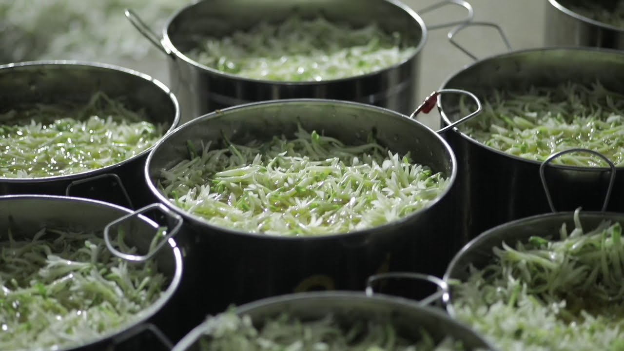 The re-birth of enfleurage by MANE