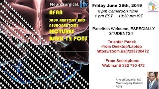 Surgical Anatomy of the Pons Arnaud Douanla AFAN 12