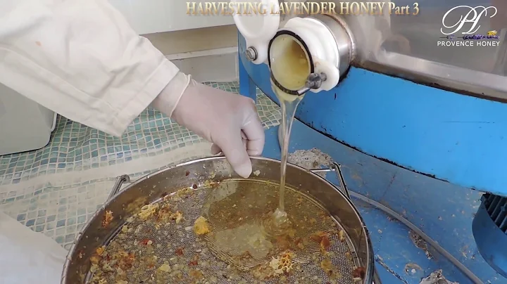 How To Harvest Lavender Honey Part 3
