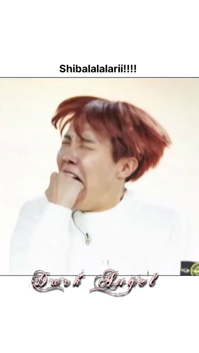 Shibalalalarii πΆ #btsmeme #bts @dark_angel034