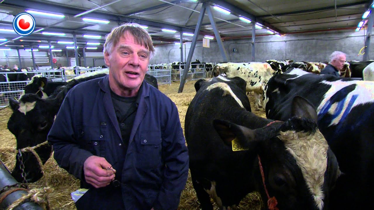 Hea! fan 1 febrewaris 2016