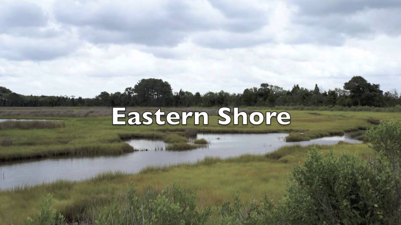 Virginia Fast Facts Video by YouTube