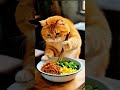 cut cat