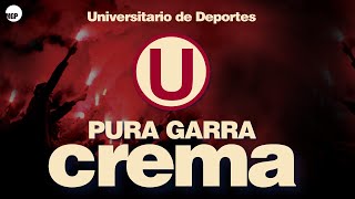 Versión 1 del video