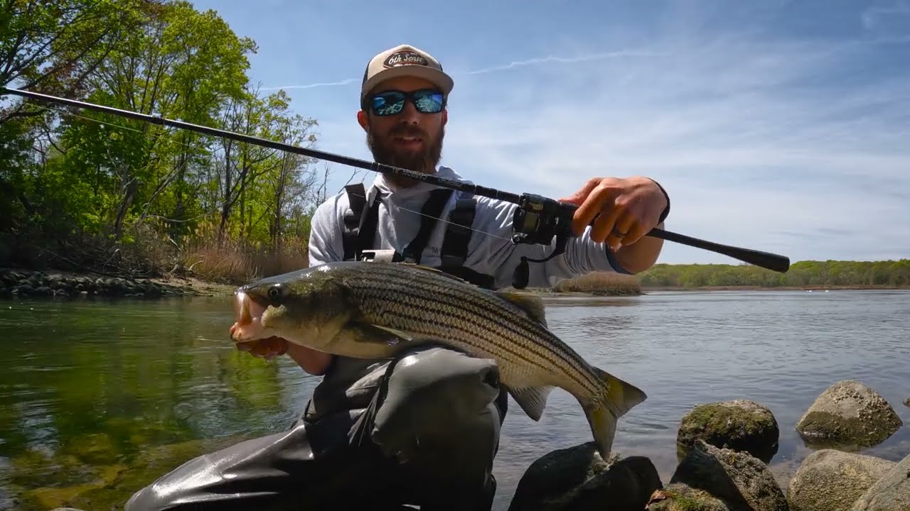 SUPER LIGHT TACKLE Striped Bass Back Bay Fishing Long Island