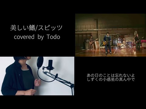 【 歌ってみた 】👩女性ヴォーカル👩　美しい鰭／スピッツ　covered by Todo