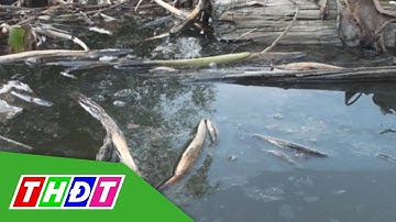 Người dân kêu khổ vì không có nước sạch sinh hoạt | THDT