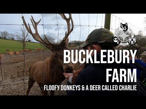 Bucklebury Farm - Floofy Donkeys and a Deer named Charlie