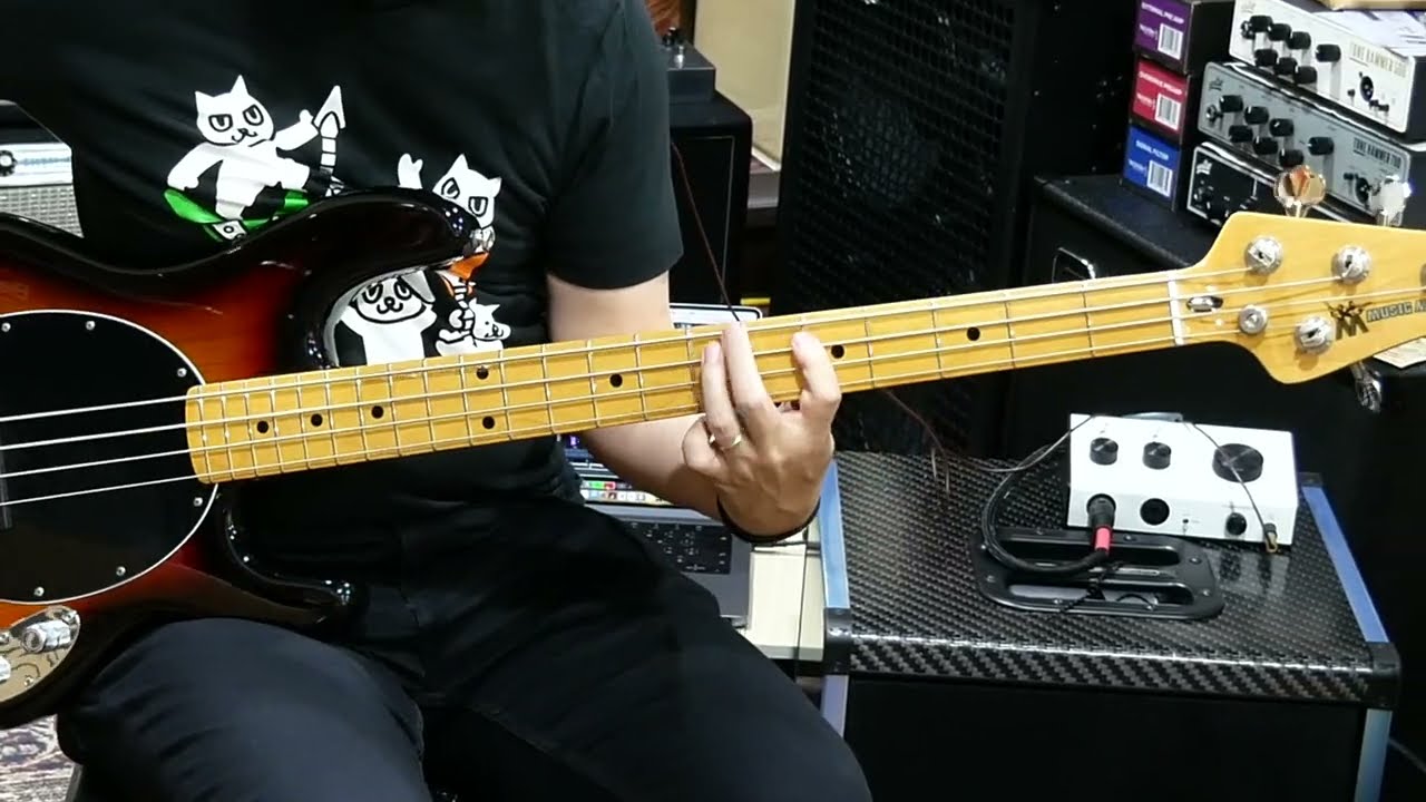 StingRayの歴史を感じる】MUSIC MAN Sting Rayを注目のベースアンプで