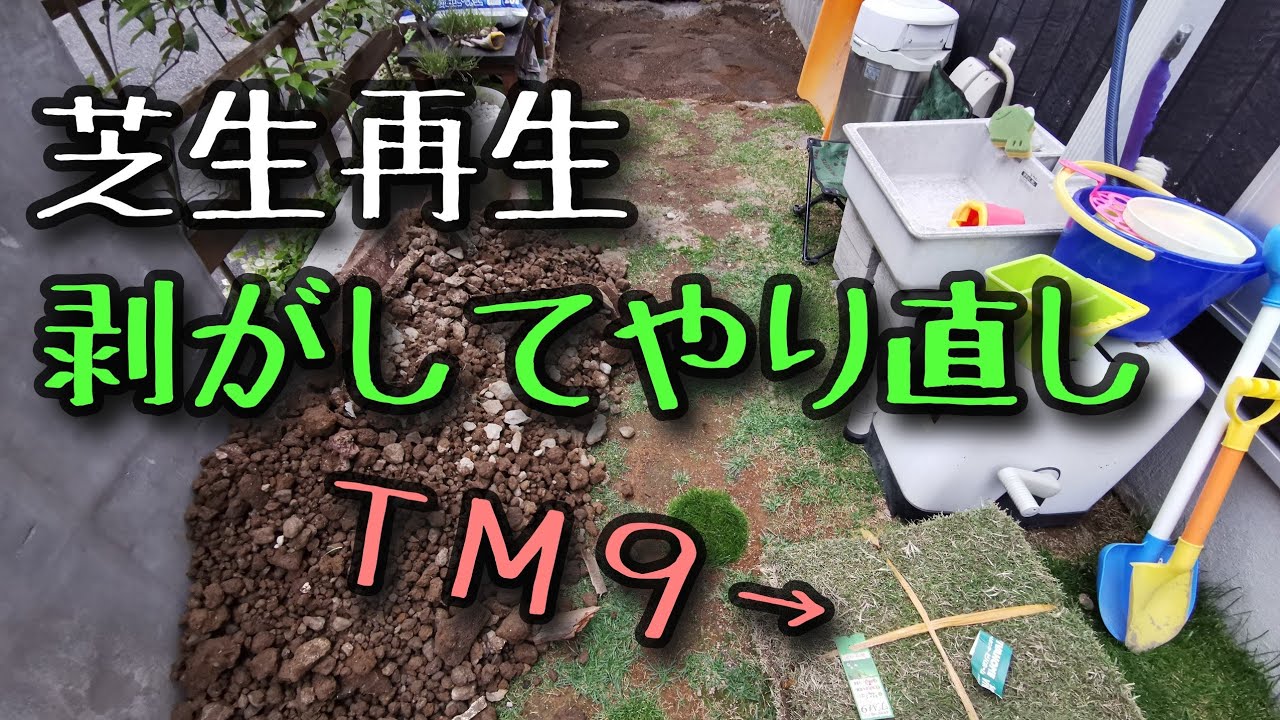 芝生 剥がして床土をやり直し Tm9に張り替えました Youtube