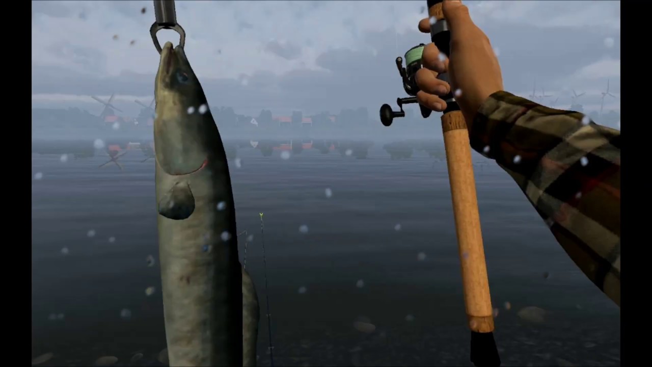 Fishing Netherlands Unique Eel Cloudy day time V.2.1.0 YouTube