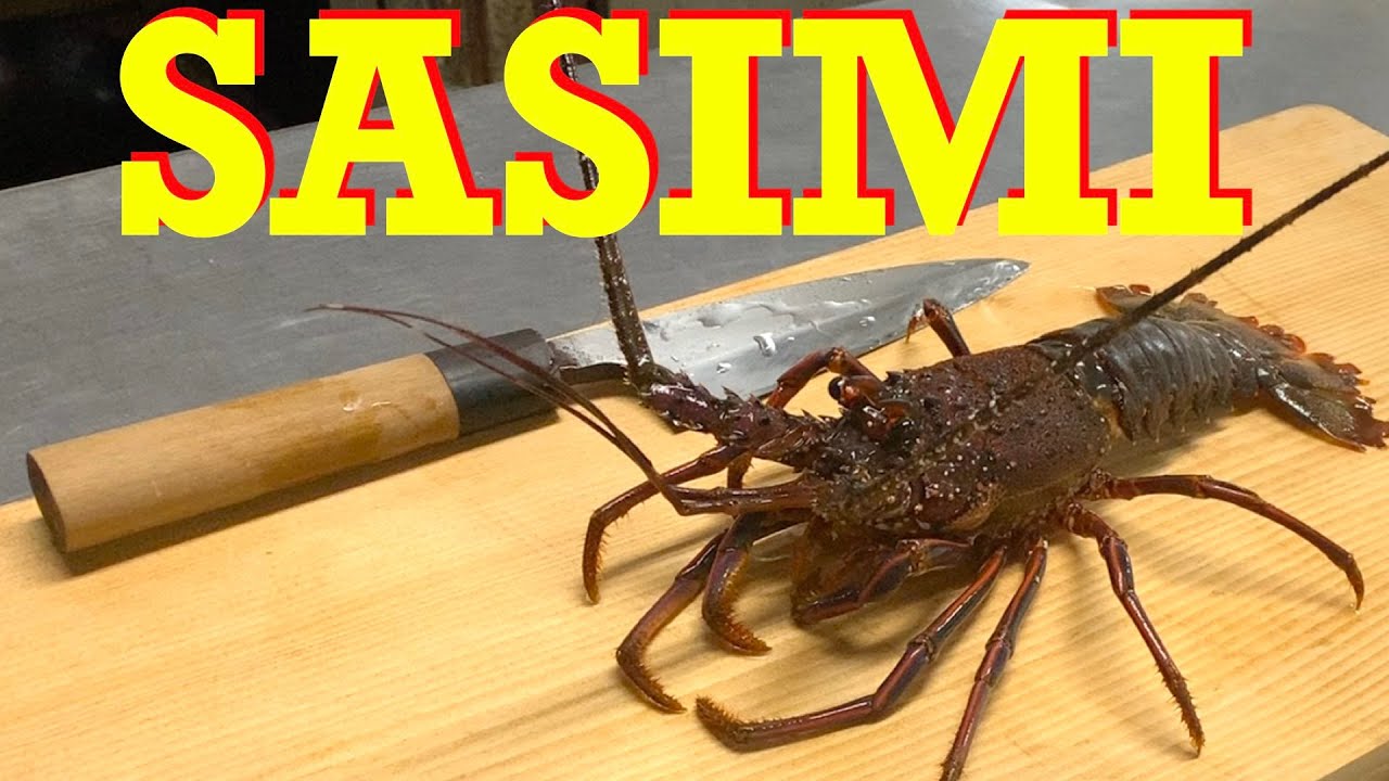 「Spiny Lobster」Japanese culture sashimi YouTube