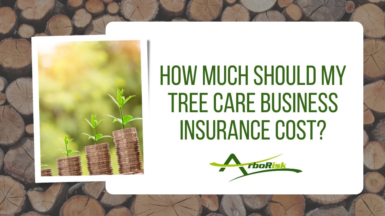 Tree Saudi Insurance How Much Should My Tree Care Business Insurance Cost? - YouTube