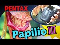 PapilioⅢ双眼鏡レビュー:世界が驚愕した唯一無二のカラクリ構造で近接立体視を実現!