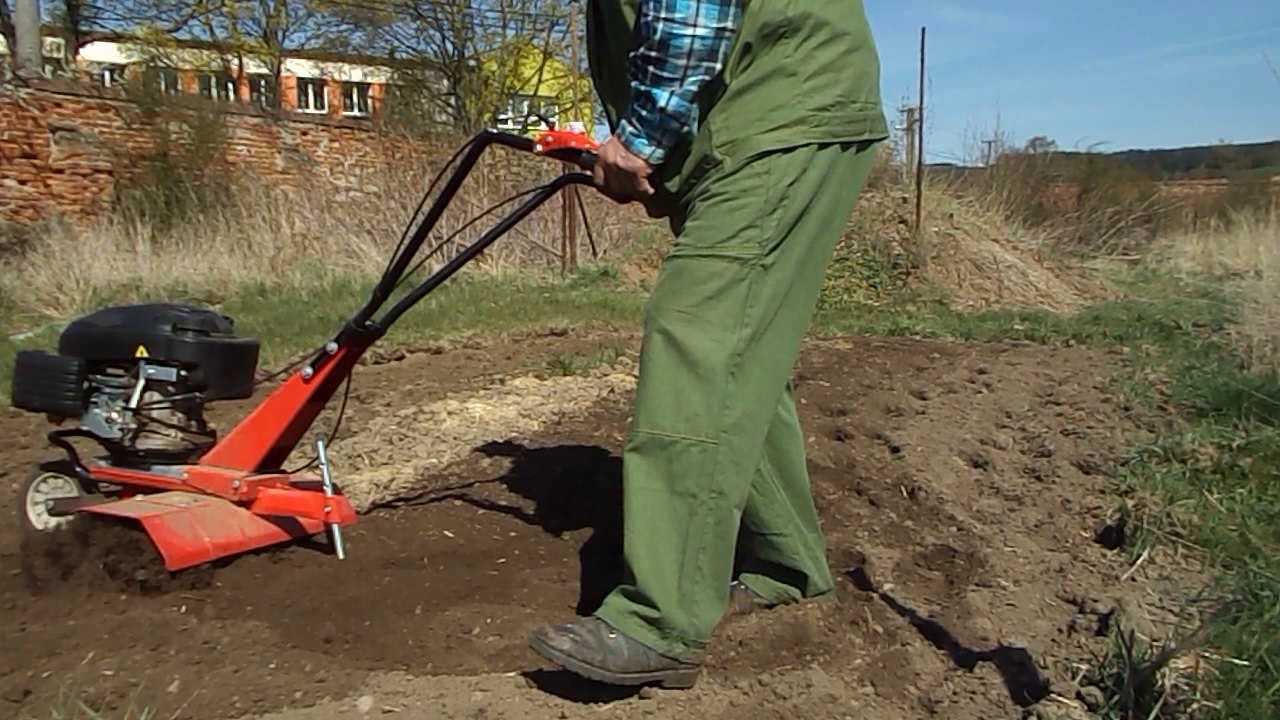 příprava na brambory 2020