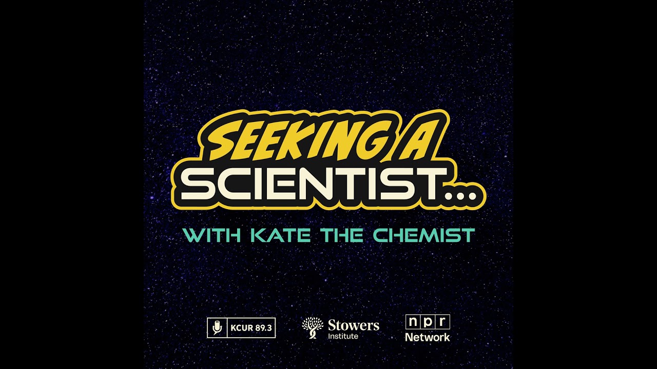 SEEKING A SCIENTIST | Dogs are talking - are you listening?